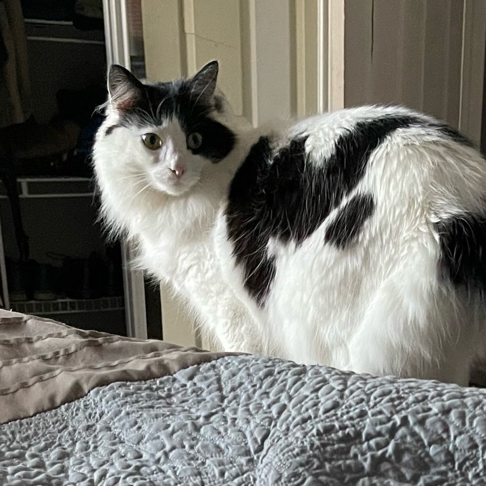 Meet your Posher, Mike